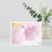 Cherry Blossom "Azuma-nishiki" ポストカード (スタンド正面)