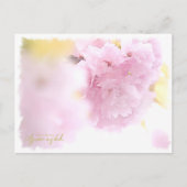 Cherry Blossom "Azuma-nishiki" ポストカード (正面)