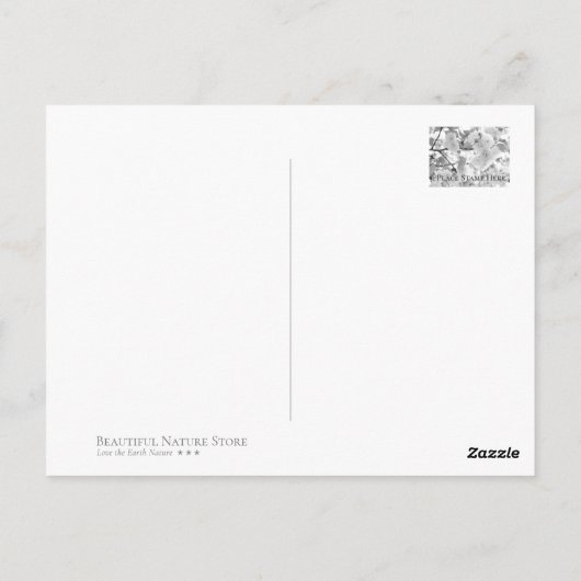 Cherry Blossom "Benigasa" ポストカード (裏面)