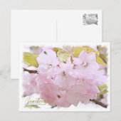 Cherry Blossom "Benitemari" ポストカード (正面/裏面)