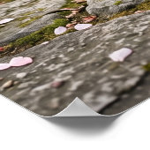 Cherry Blossom Cat Serenity ポスター (角)