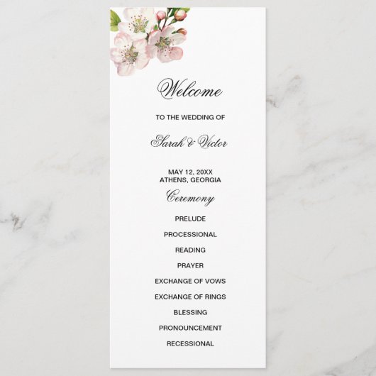 Cherry Blossom Double Sided Flat Program プログラム (正面)