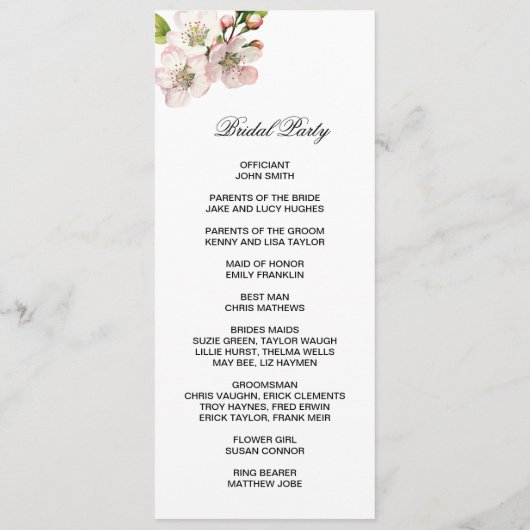 Cherry Blossom Double Sided Flat Program プログラム (裏面)