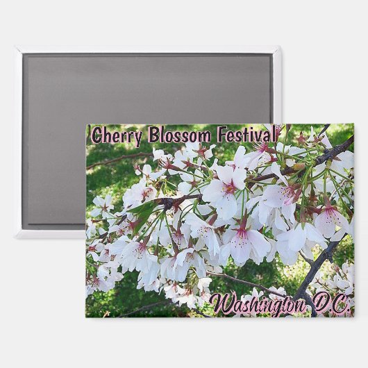 Cherry Blossom Festival Washington D.C. Magnet マグネット (正面/裏面)