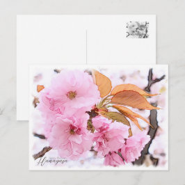 Cherry Blossom "Hanagasa" ポストカード