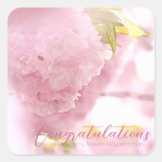 Cherry Blossom "Hayashi-ichigo" スクエアシール (正面)