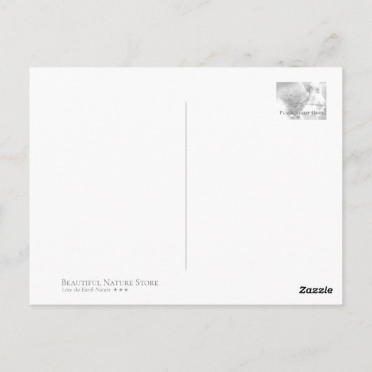 Cherry Blossom "Hayashi-ichigo" ポストカード (裏面)