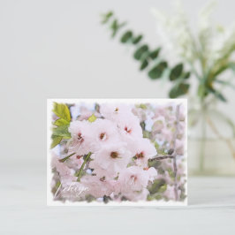 Cherry Blossom "Ichiyo" ポストカード
