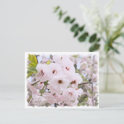 Cherry Blossom "Ichiyo" ポストカード (スタンド正面)