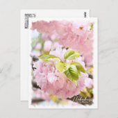 Cherry Blossom "Itokukuri" ポストカード (正面/裏面)