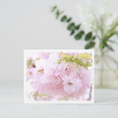 Cherry Blossom "Kasugai" ポストカード (スタンド正面)