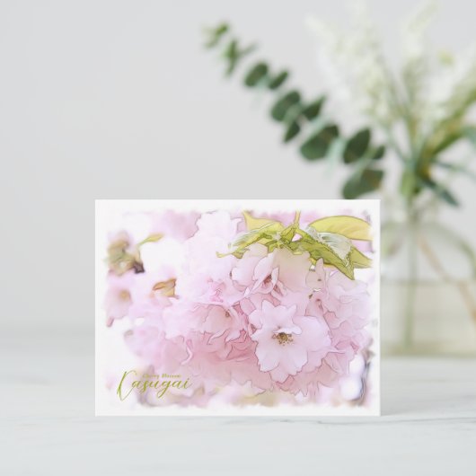 Cherry Blossom "Kasugai" ポストカード (スタンド正面)