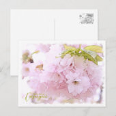 Cherry Blossom "Kasugai" ポストカード (正面/裏面)