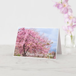 Cherry blossom "Kawazu-Zakura" カード