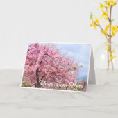 Cherry blossom "Kawazu-Zakura" カード (黄色い花)