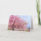 Cherry blossom "Kawazu-Zakura" カード (正面)