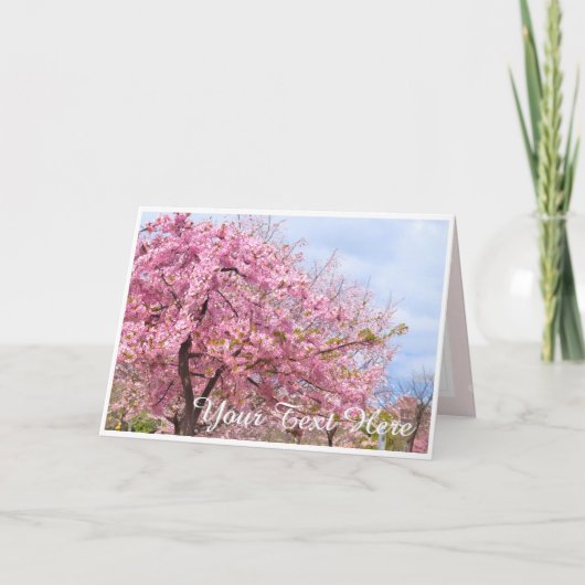 Cherry blossom "Kawazu-Zakura" カード (正面)