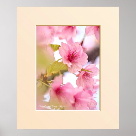 Cherry blossom "Kawazu-Zakura" ポスター (正面)