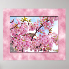 Cherry blossom "Kawazu-Zakura" ポスター