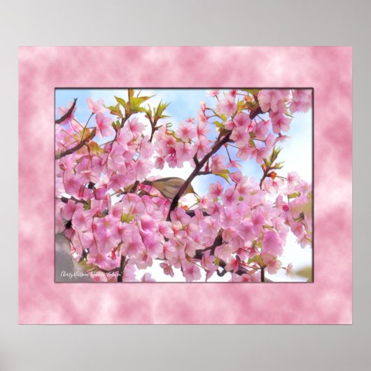 Cherry blossom "Kawazu-Zakura" ポスター (正面)
