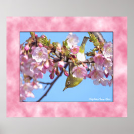 Cherry blossom "Kawazu-Zakura" ポスター