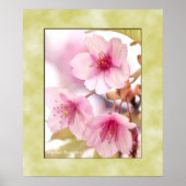 Cherry blossom "Kawazu-Zakura" ポスター (正面)