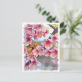 Cherry blossom: Kawazu-Zakura ポストカード (スタンド正面)