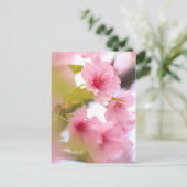 Cherry Blossom "Kawazu-zakura" ポストカード (スタンド正面)