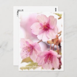 Cherry blossom: Kawazu-Zakura ポストカード