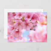 Cherry Blossom "Kawazu-zakura" ポストカード (正面/裏面)