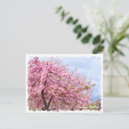Cherry blossom: Kawazu-Zakura ポストカード (スタンド正面)