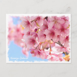 Cherry blossom: Kawazu-Zakura ポストカード