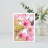 Cherry blossom: Kawazu-Zakura ポストカード (スタンド正面)