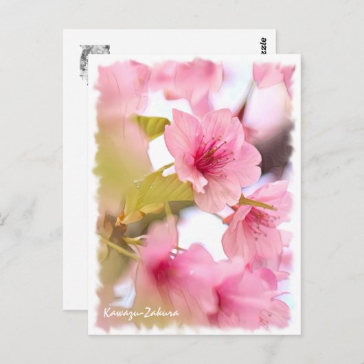 Cherry blossom: Kawazu-Zakura ポストカード (正面/裏面)