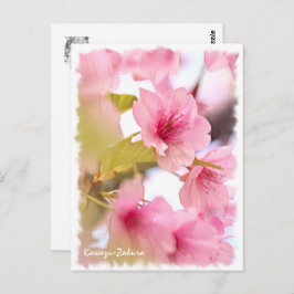 Cherry blossom: Kawazu-Zakura ポストカード