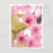 Cherry blossom: Kawazu-Zakura ポストカード (正面)