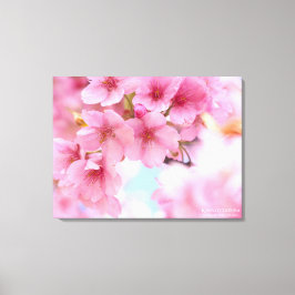 Cherry blossom"Kawazu-zakura"：Premium Canvas キャンバスプリント