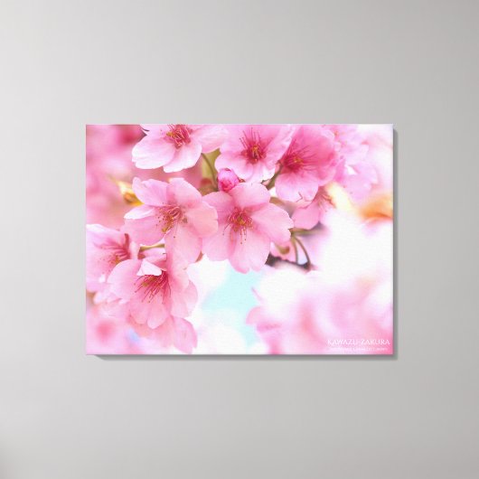 Cherry blossom"Kawazu-zakura"：Premium Canvas キャンバスプリント (正面)
