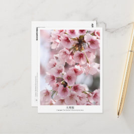 Cherry Blossom ‘Oh-kanzakura’ ポストカード