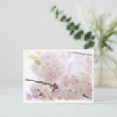 Cherry Blossom "Ranran" ポストカード (スタンド正面)