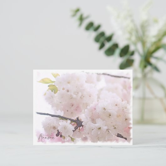 Cherry Blossom "Ranran" ポストカード (スタンド正面)