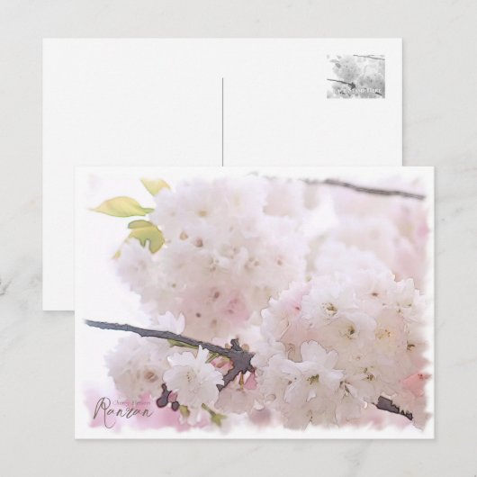 Cherry Blossom "Ranran" ポストカード (正面/裏面)