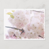 Cherry Blossom "Ranran" ポストカード (正面)