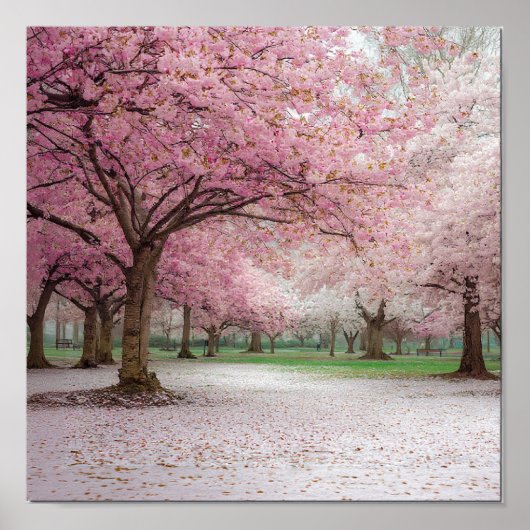 Cherry Blossom Serenity - Peaceful Spring Park ポスター (正面)
