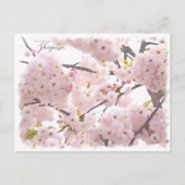 Cherry Blossom "Shogetsu" ポストカード (正面)