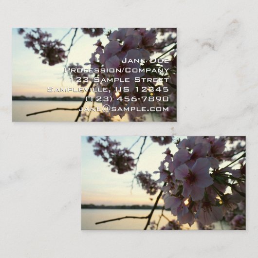 Cherry Blossom Sunset in Washington DC 名刺 (正面/裏面)