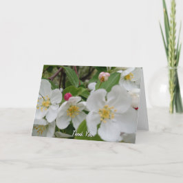 Cherry Blossom Surprise Folded Thank You Card サンキューカード
