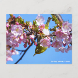 Cherry blossom & White-eye ポストカード