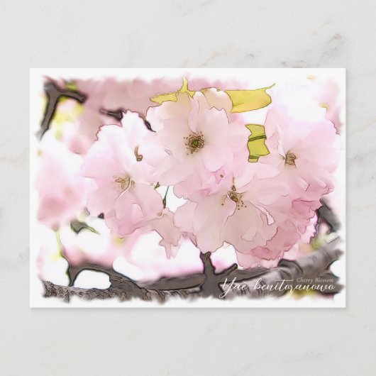 Cherry Blossom "Yae-benitoranowo" ポストカード (正面)