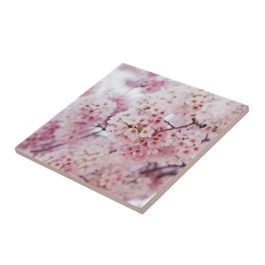 Cherry Blossoms タイル (側面)